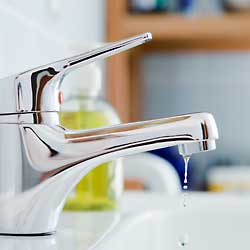 Leaky Taps, Showers, Toilets